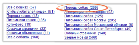 Страница Кошки и собаки
