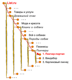 Дерево каталога